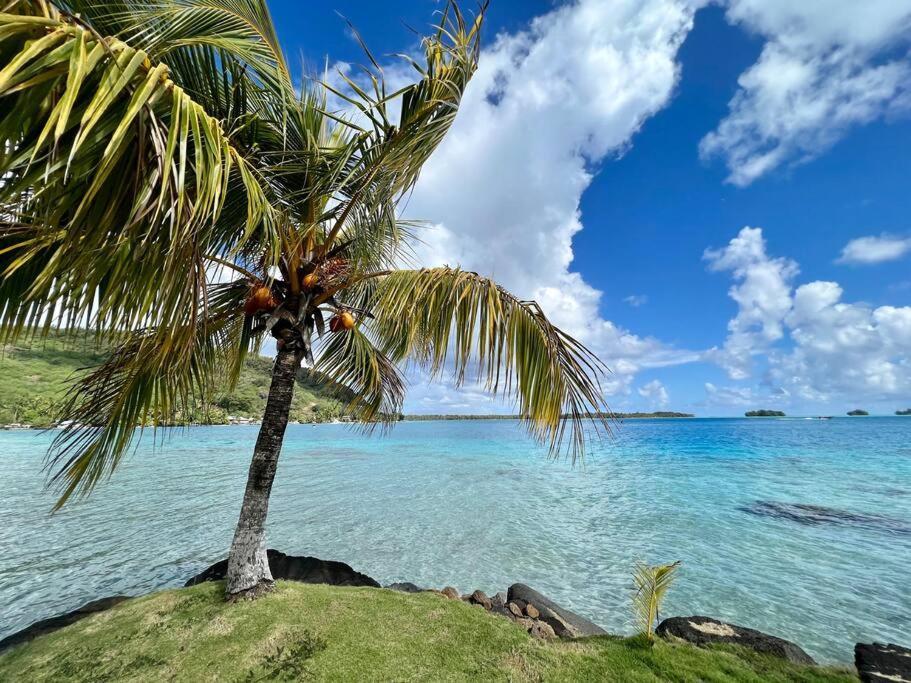 Waterfront Paradise 2 Br; Stunning Sunsets Bora Bora Exterior foto